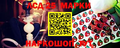 a pvp Гусев