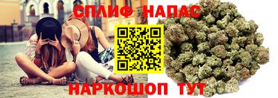 a pvp Гусев