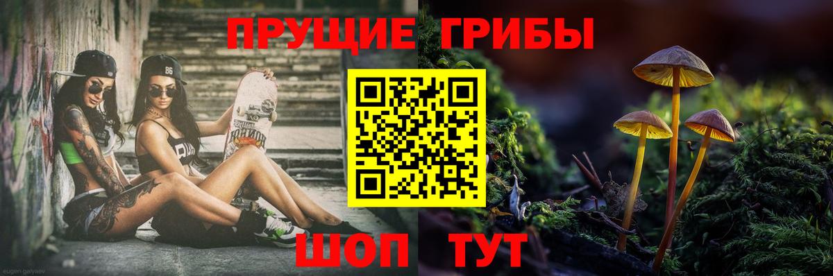 Галлюциногенные грибы GOLDEN TEACHER Луга